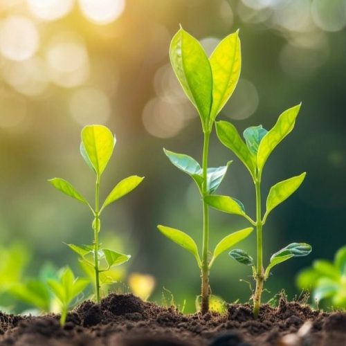 be344fd966164feca908f548b7d43f3d be344fd966164feca908f548b7d43f3d